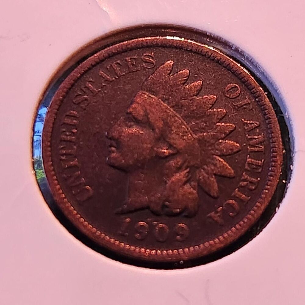 Free-people Collectibles